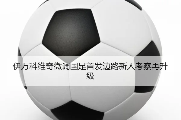 伊万科维奇微调国足首发边路新人考察再升级 | HTHSPORTS